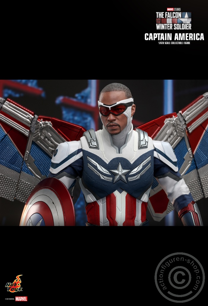 The Falcon and the Winter Soldier - Captain America - TMS040 The Falcon and the Winter Soldier - Captain America - TMS040