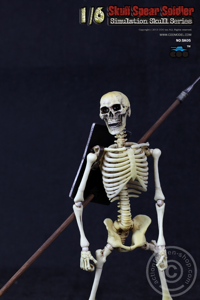 Skeleton Spear Soldier - Human Skeleton in 1:6