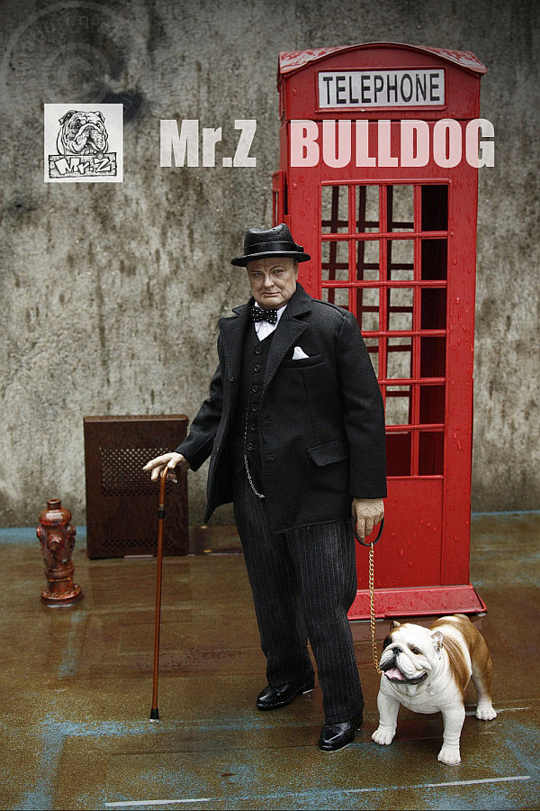 MRZ003-006-002 British Bulldog - Version 4