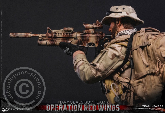 DA78069-23FZ9Ez6wRkcOWr Operation Red Wings - NAVY SEALS SDV TEAM 1 - Team Leader