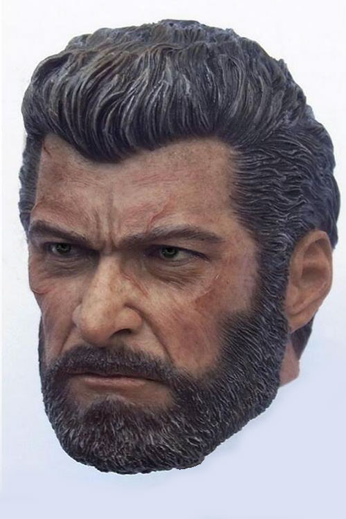 Logan - Old Wolverine - Head