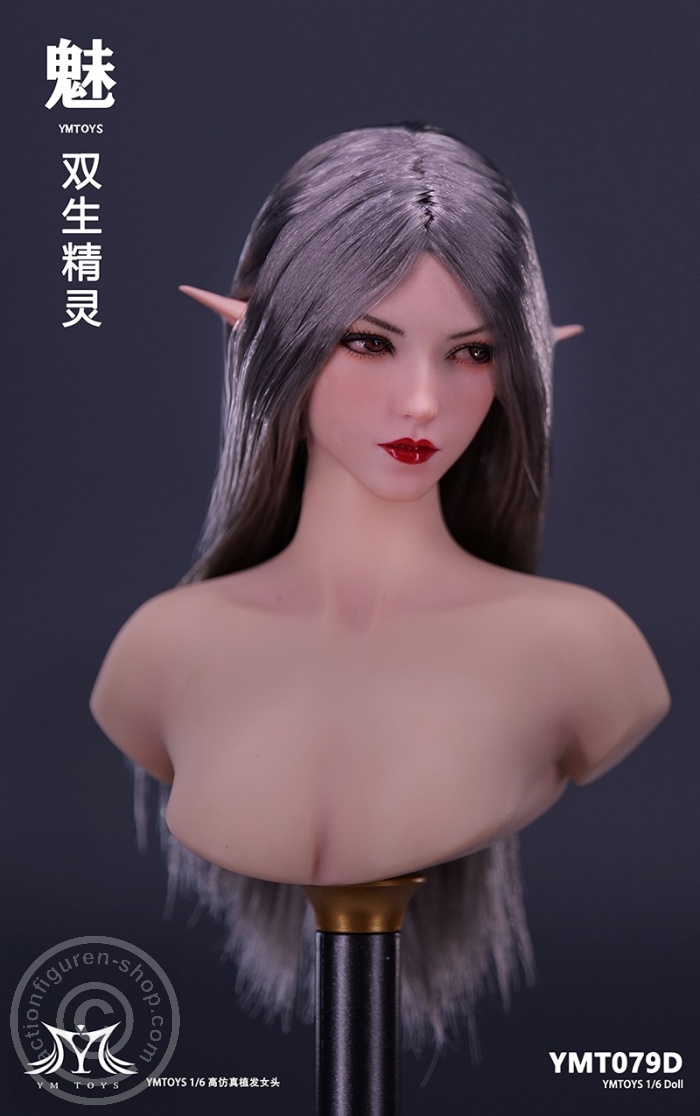 Elf Girl - Head - long dark-silver Hair