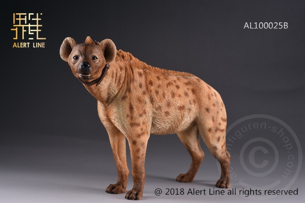 ALL1025AB-26 Crocuta - 1/6 scale