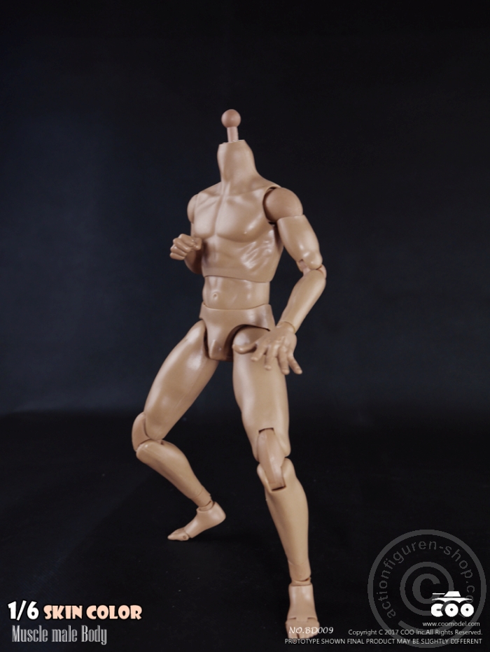 COOBD009-04Fp7SGzLxWEH7R Male Body 2.0 - Muscular - 27cm