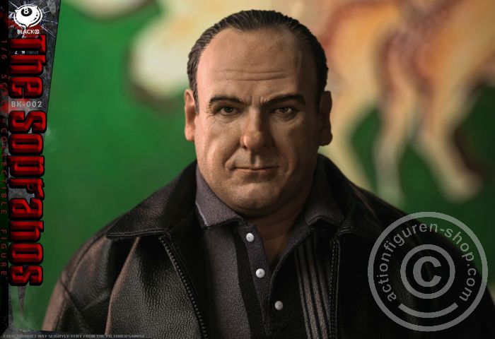 B8-BK002-10 The Sopranos - Tony Soprano