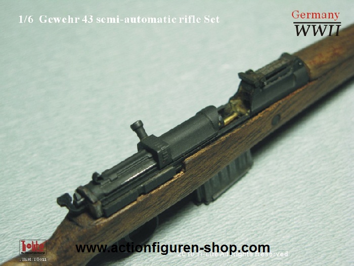 TL8011-18 G43 - Halbautomatisches Gewehr