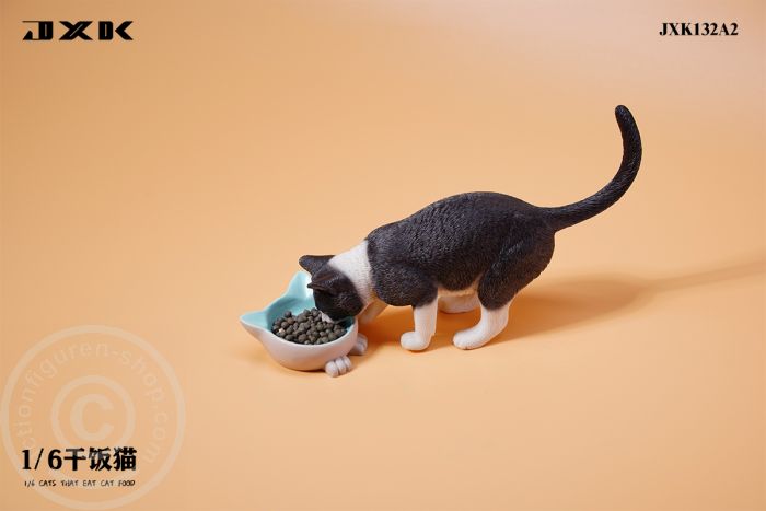 Cats That Eat Cat Food - A2
