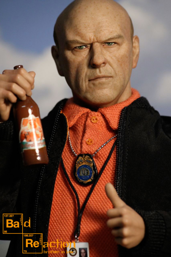 Hank Schrader - Brother in Law