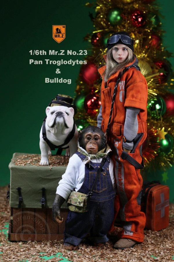 Chimpanzee and Bulldog Set