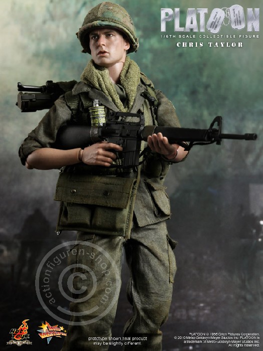 173597-02 Platoon - Chris Taylor