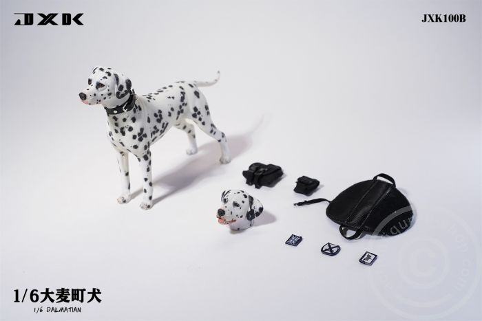 Dalmatian - standing Dalmatian - standing