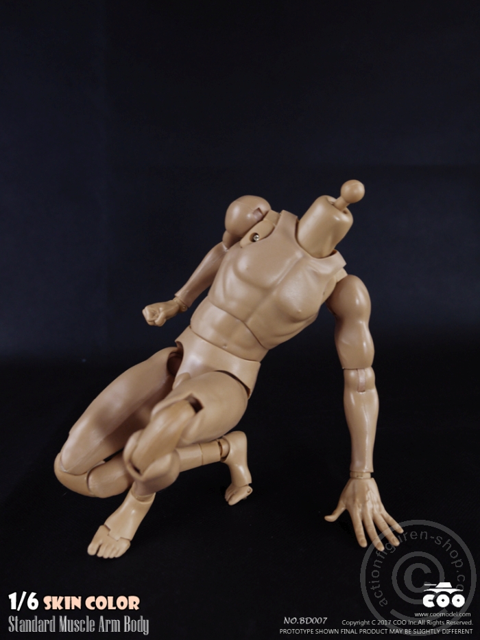 COOBD008-06 Male Body 2.0 - Muscular - 27cm