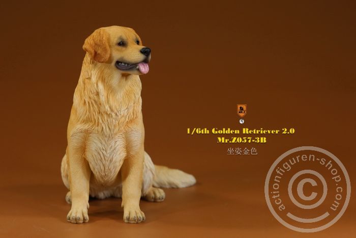 MRZ057B-03 Golden Retriever 2.0 - sitting