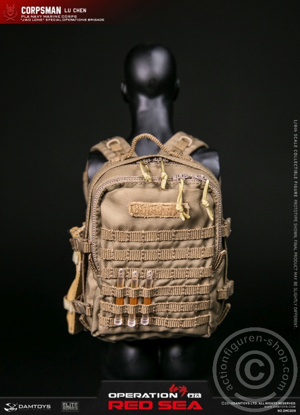 DADMS009-28 Lu Chen - Corpsman - Jiao Long - Operation Red Sea