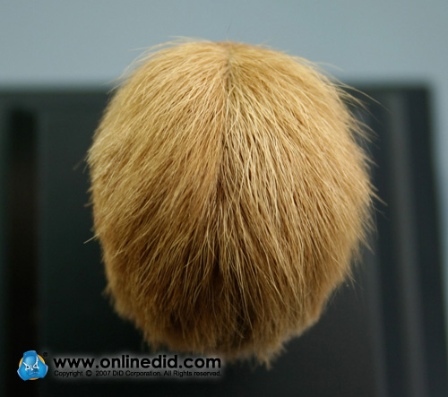Ultimate Realistic Head - Blonde Haare