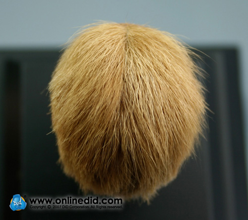 30003-12O9DCPslVVf9MY Ultimate Realistic Head - Blonde Haare