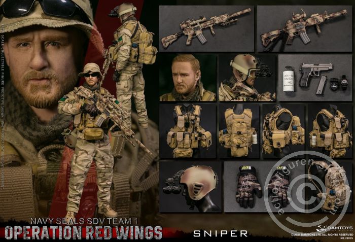 Operation Red Wings - NAVY SEALS SDV TEAM 1 - Sniper