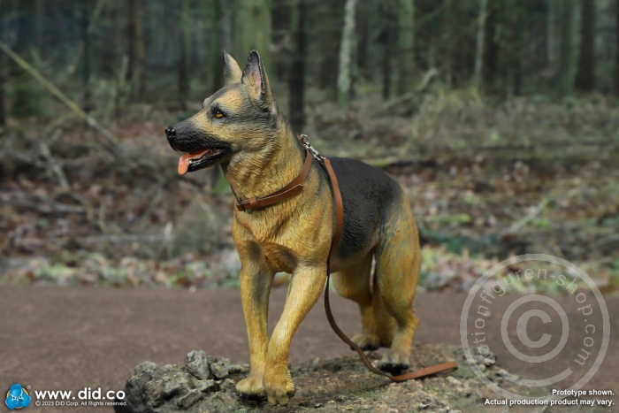 WWII German Shepherd Dog & Road Signs Set