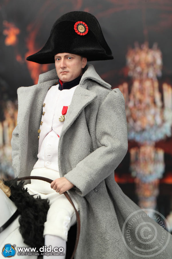 80121-06 Napoleon Bonaparte