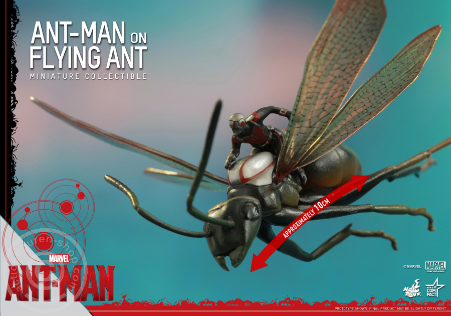 Ant-Man - Ant-Man on Flying Ant