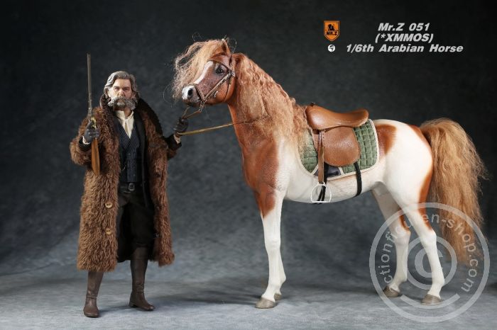 Arabian Horse w/ full European Harness - white-brown