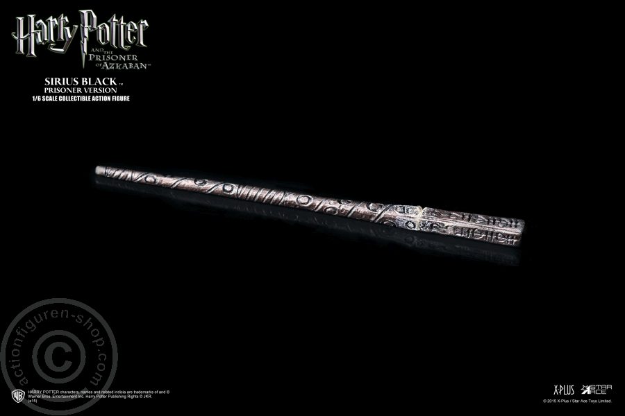 SA014-11 Sirius Black (Prisoner) - Harry Potter und der Gefangene von Azkaban
