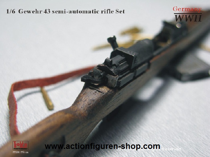 TL8011-05 G43 - Halbautomatisches Gewehr