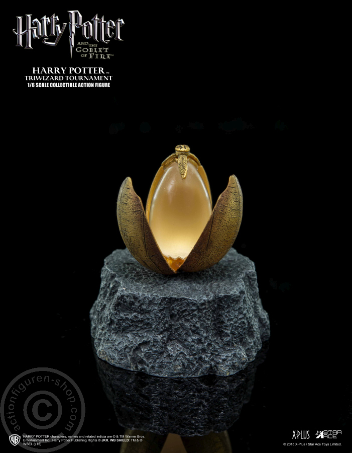 SA008-07 Harry Potter - Triwizard Tournament Version