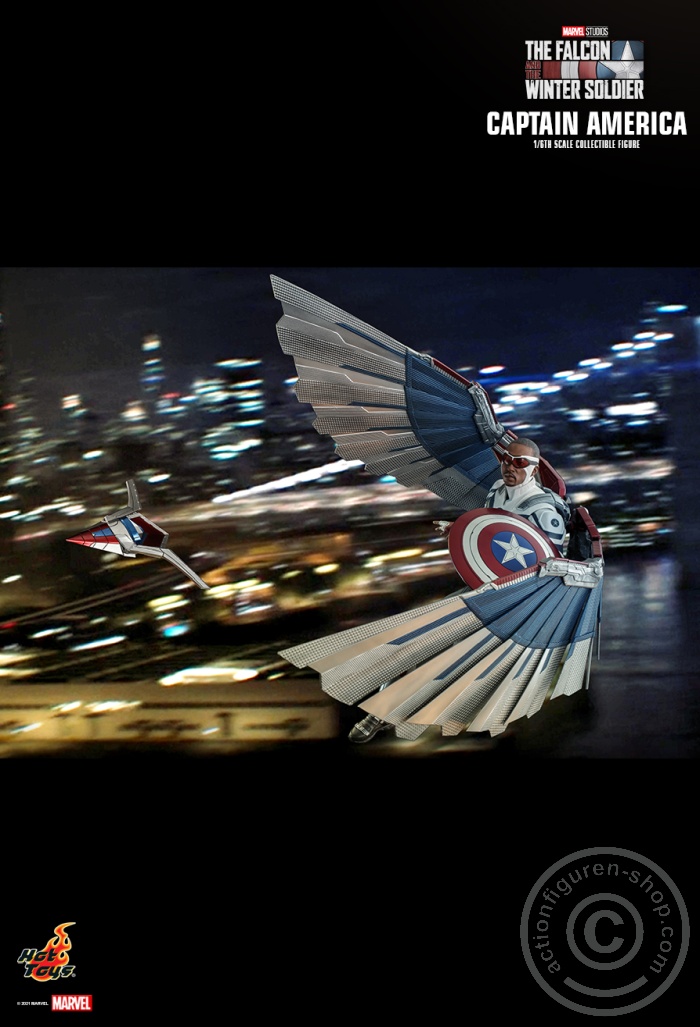 The Falcon and the Winter Soldier - Captain America - TMS040 The Falcon and the Winter Soldier - Captain America - TMS040