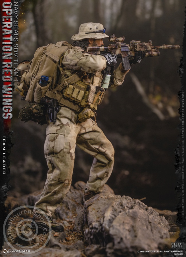 Damtoys 1/6 Team Leader Operation Red Wings Navy Seals Sdv