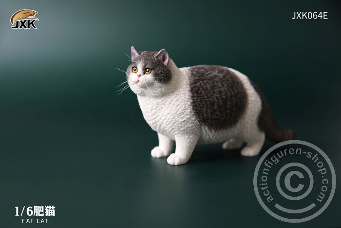 JxK064E-01 Fat Cat - E