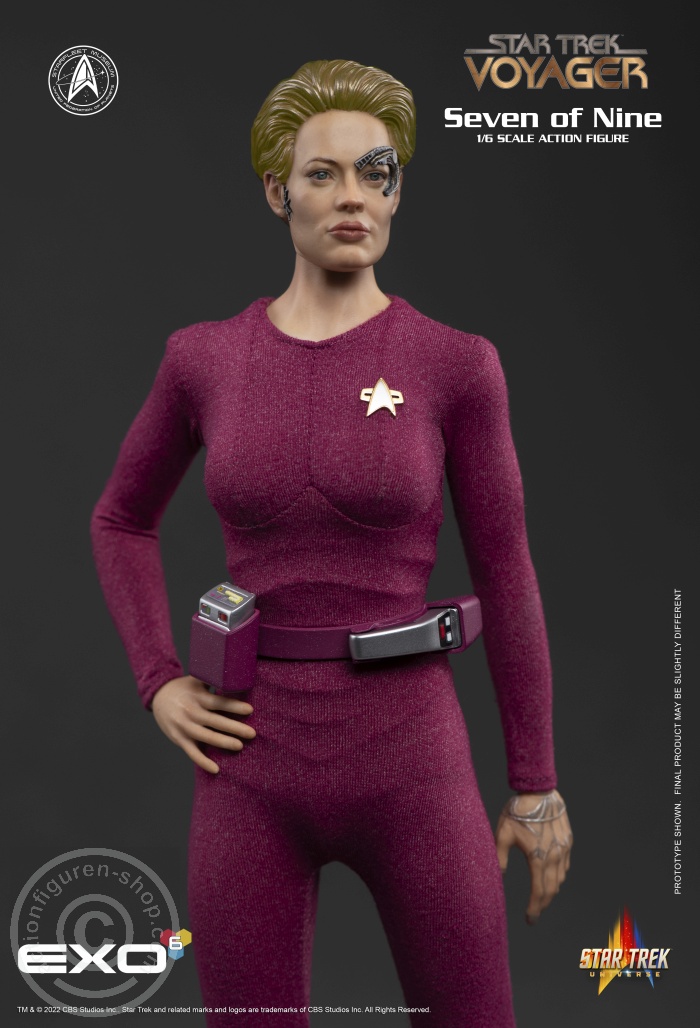Star Trek: Voyager - Seven of Nine Star Trek: Voyager - Seven of Nine