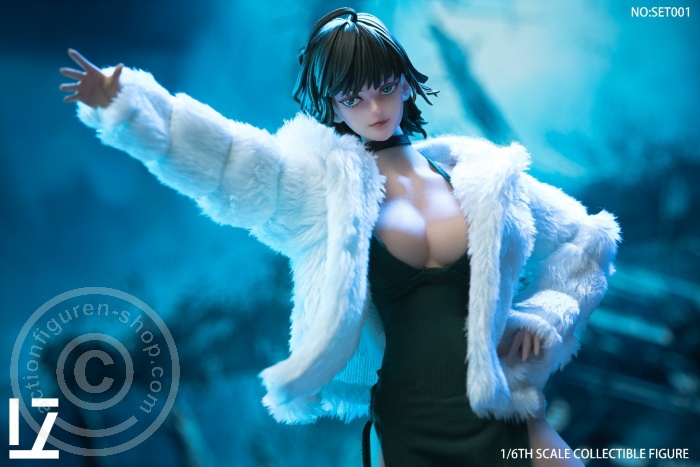 The Heroine Who Guards the World - Snow Head & Costume Set The Heroine Who Guards the World - Snow Head & Costume Set