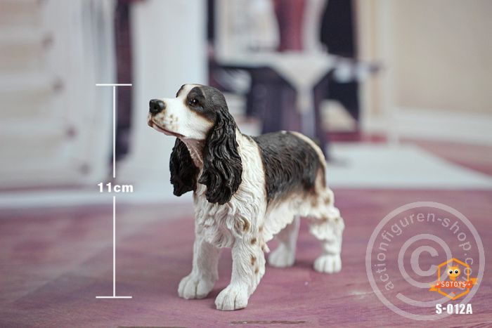 sgt-s012a-010x8ThUc8caDBC Springer Spaniel