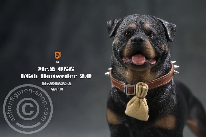 MrZ055A-05 Rottweiler - Version A