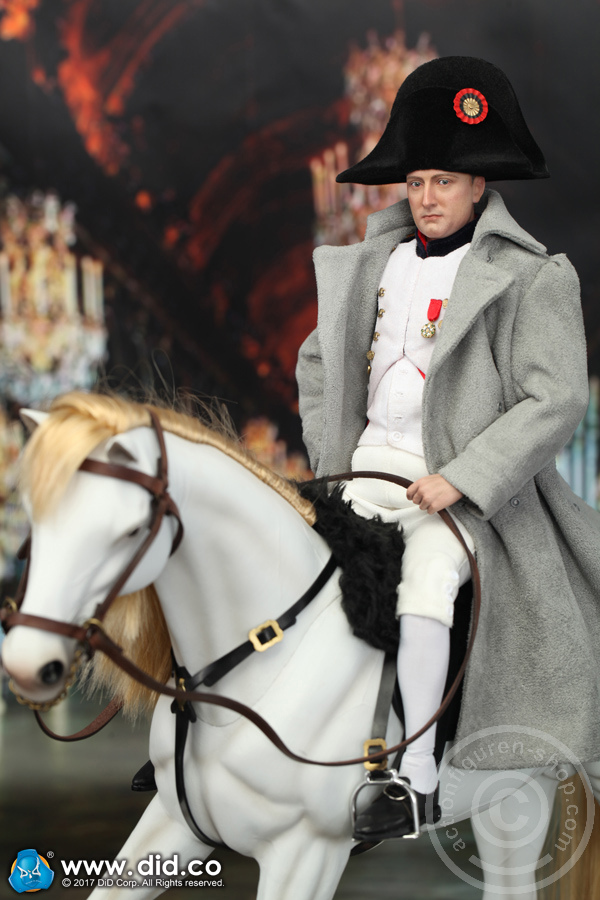 80121-04 Napoleon Bonaparte