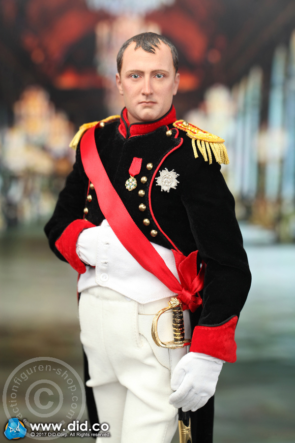 80122-06 Napoleon Bonaparte - Battle Version