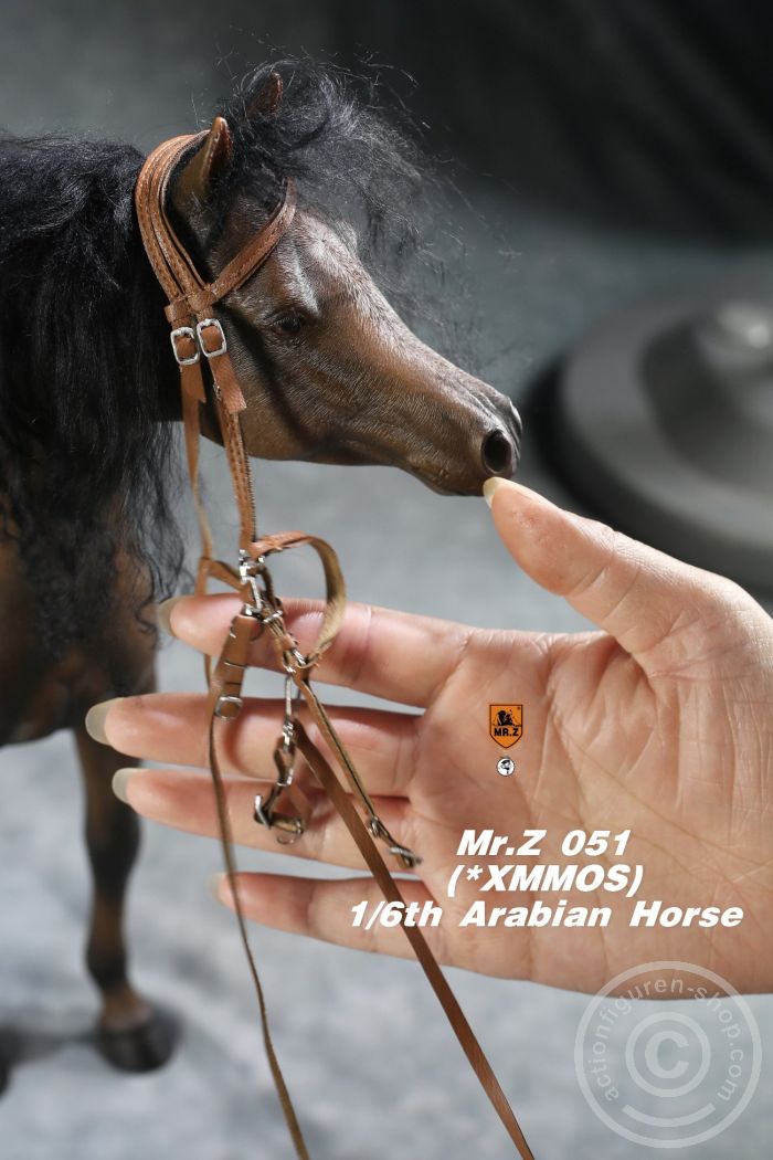 MRZ051-07 Arabian Horse w/ full European Harness - black