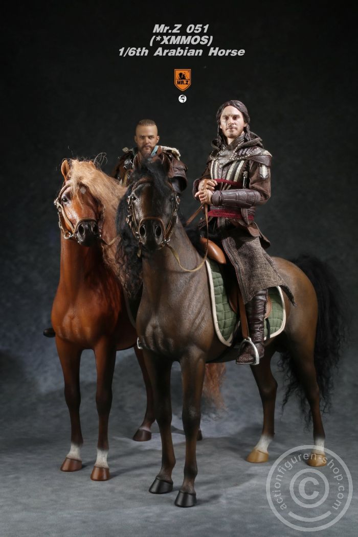 Arabian Horse w/ full European Harness - dark-brown
