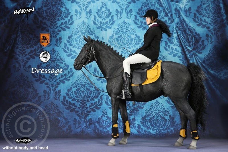 MRZ004A-10 Dressage Set A