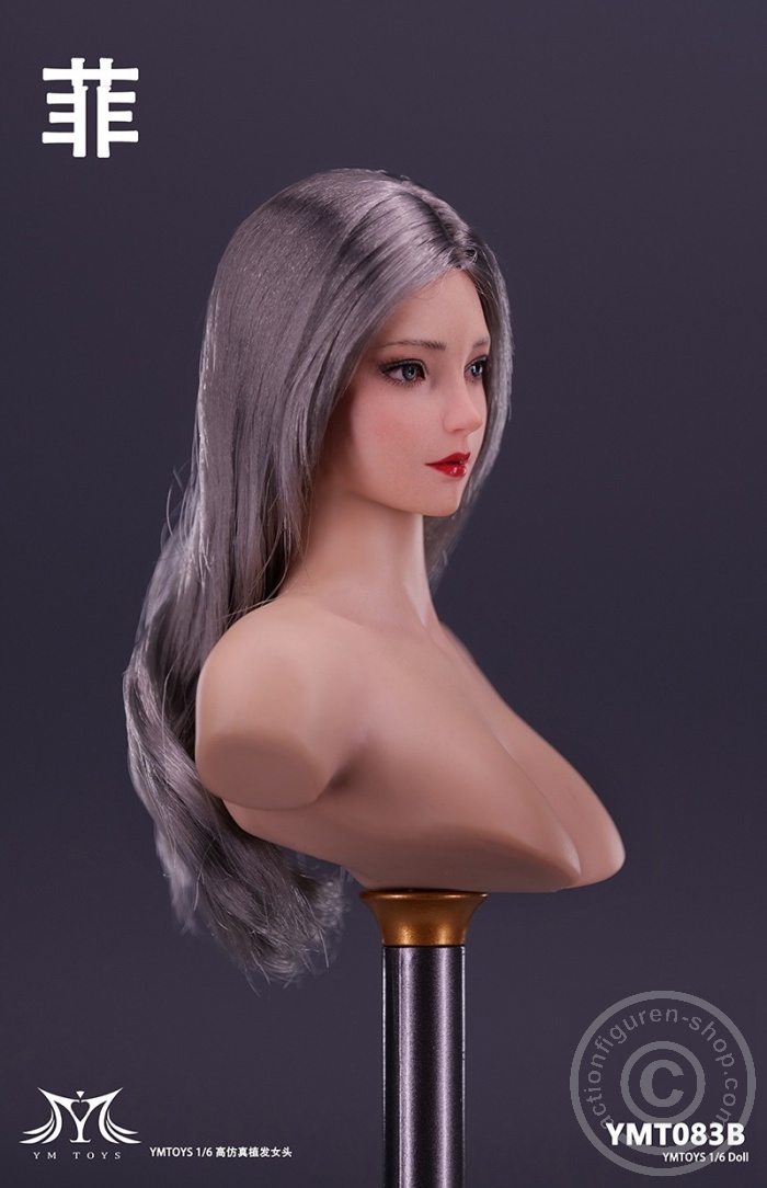 Female Head - Fei - long silver Hair Female Head - Fei - long silver Hair