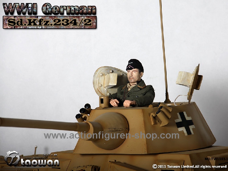 TW1103-1_11 Sd.Kfz.234/2 - Metall (sand)