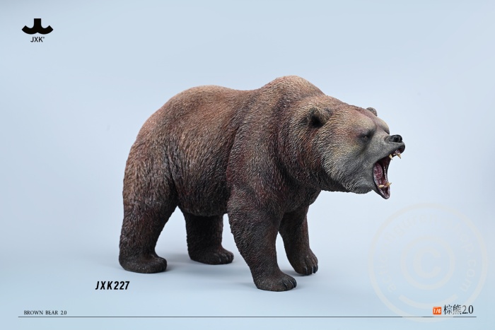 Brown Bear - roaring