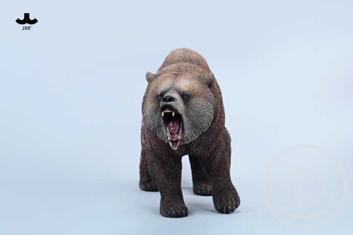 Brown Bear - roaring