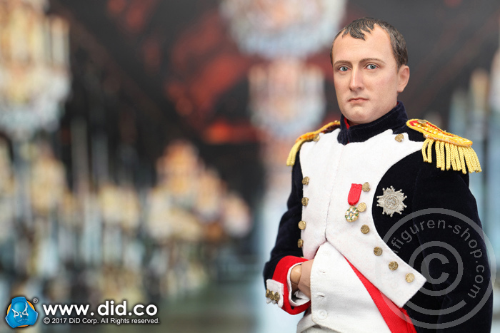 80121-02 Napoleon Bonaparte