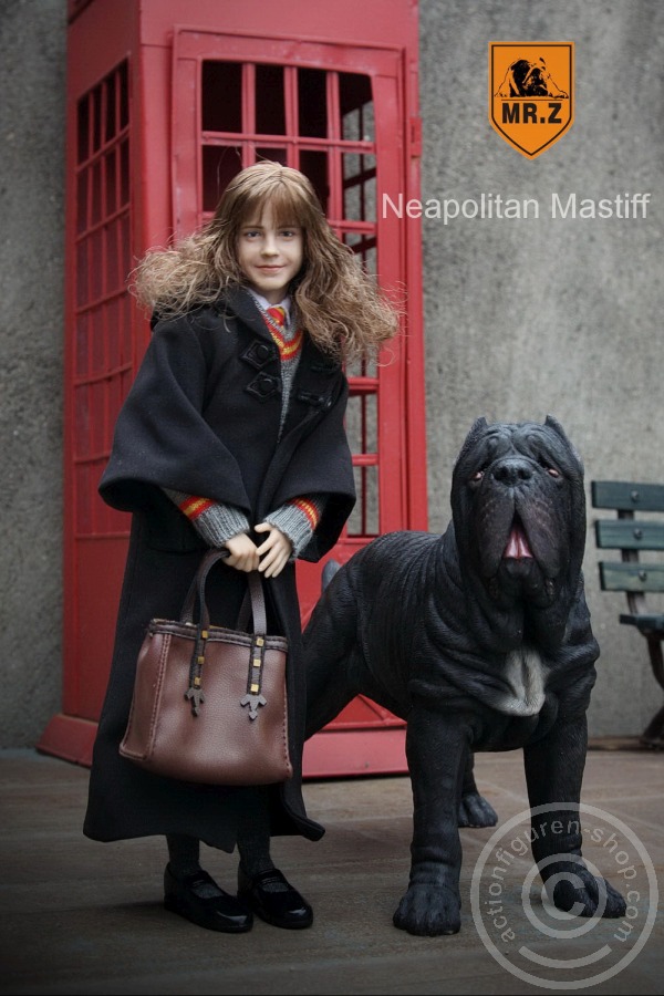 MRZ-NM-M Neapolitan Mastiff - tan