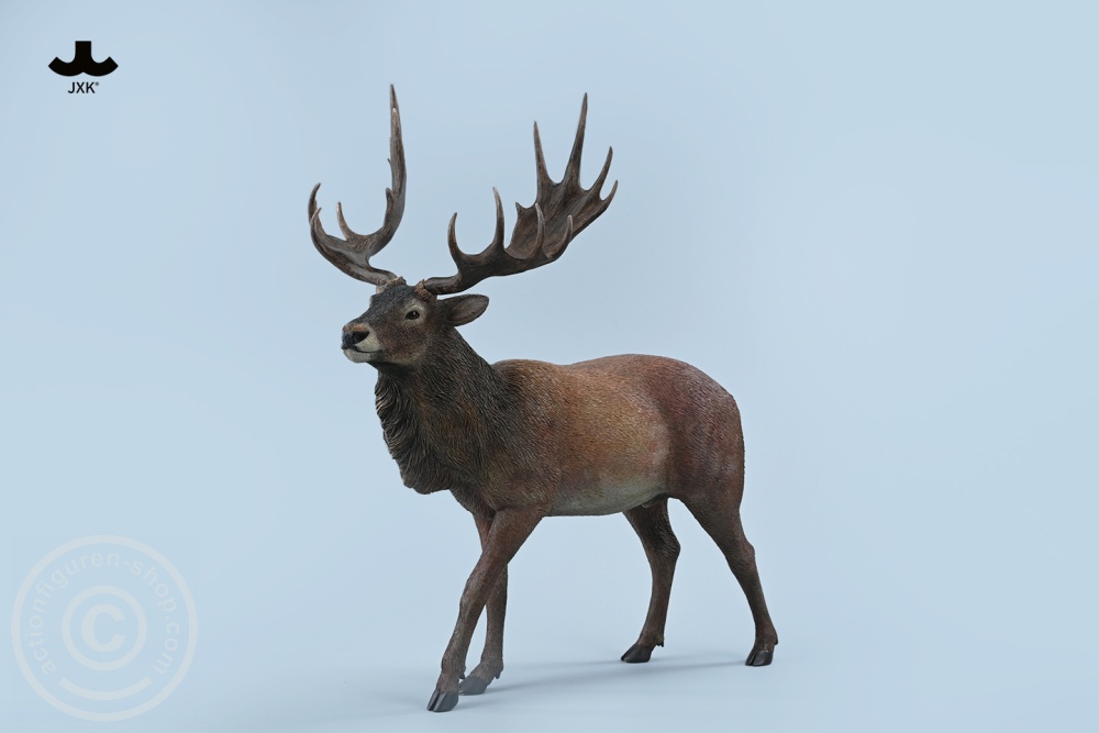 Reindeer - Color B