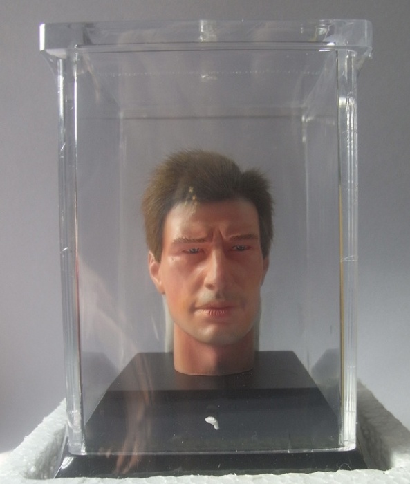 d30001-01_p20yLfe9STjDnlf Ultimate Realistic Head - Braune Haare