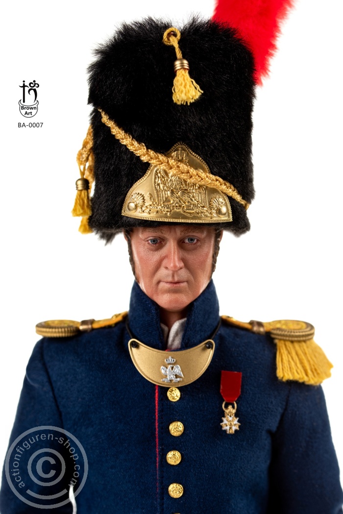 Napoleonic - Subaltern of The French Imperial Guard
