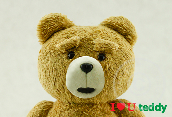 TED - I Love U Teddy